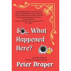 (영문도서) So... What Happened Here Paperback, Independently Published, English, 9798332211379