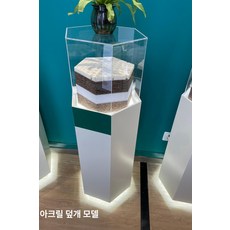 문화재 전시대 박물관 쇼케이스 진열장 디스플레이 골동품 골동품진열장 장식품 광택, 화이트 대각선 40x120 조명