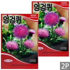 세인화분 국산 엉겅퀴 100립 - 씨 씨앗 꽃 재래종 약재 국화, 2개