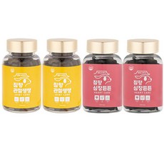 강아지 심장 관절 영양제 댕이수랏간 침향 심장튼튼 2개 + 침향 관절 쌩쌩 2개, 2박스, 100g