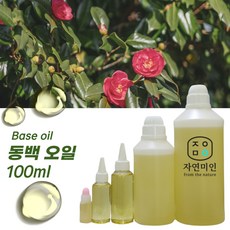 에코문 동백오일100ml /동백유 천연 화장품 비누 만들기 DIY 재료, 1개