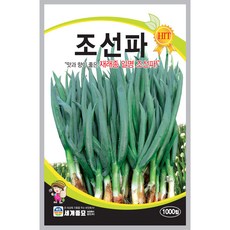 세계종묘 산들마켓 조선파 씨앗 1000립 재래종 대파 구조파 씨 종자, 1개