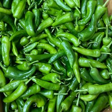 [금성식품]중국야채 중국고추 껍질얇은중국동북매운고추 조림용 1키로, 1kg, 1개