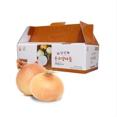[전남생협]HACCP 인증 무안 양파즙, 30개, 100ml