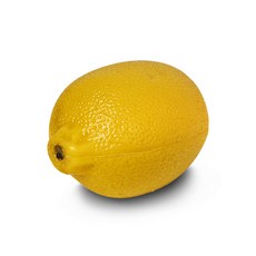 BUZZ 리얼사이즈 레몬 과일쉐이커 BU-LM