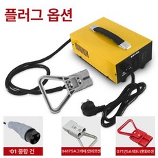 차량용 트럭 12V 배터리 전동 24V 산업용충전 제품 단상 36V 지게차 단상충전기 충전기 전기, 13.24V35A