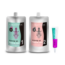 갈라토닉 오징어먹물 염색약 2N 검정색 1제2제500g 1세트 헤어앰플 퍼플13ml 1개, 2N 검정색 1세트 + 퍼플앰플 1개