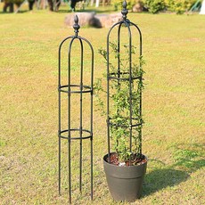 HK.sell 아치형 꽃 식물 플랜트, 지름25cm/전체높이150cm, 1개