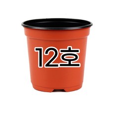 모두다 모종화분 육묘포트 삽목화분 이색포트 적색 12cm, 50개, 이색포트(적색)