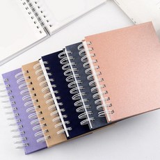 초음파 태교 태아 성장 사진 보관 일기 앨범 사진첩, 05부착식앨범-샴페인