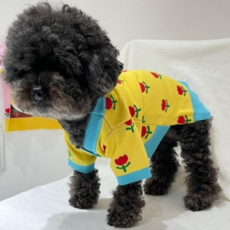 페시얌 튤립 니트 가디건 강아지가을옷, 옐로우, 1개