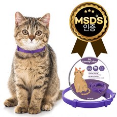 DQmall 카밍칼라 퍼플(보라색). MSDS인증제품. 고양이 진정 페로몬 스트레스 긴장 완화 이사 입양 동물병원 외출용, 1개, Purple