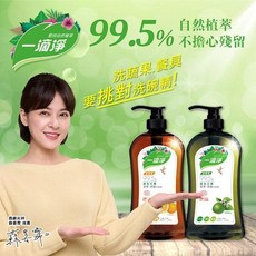 一滴淨 洗碗精 柑橘 檸檬, 1個, 檸檬,800g(補充包)