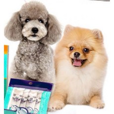 집사사랑 변비 반려견 유산균 반려동물 강아지 유산균 오리 x6, 집사사랑 변비 반려견 유산균 반려동물 강아지 유산균 오