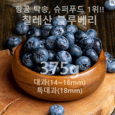 [전국 도전!] 생블루베리 칠레산(15mm/18mm/20mm 개당 125g) 냉동제품 소과 비교불가!, 1세트, (총 375g) 대과 14~16mm(125gx3개)