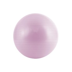 아리프 안티버스트 짐볼 + 에어펌프 + 공기마개, 라벤더