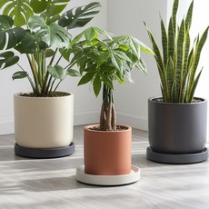 유피해피 이동식 화분 받침대 원형, 유피 화이트, 1개