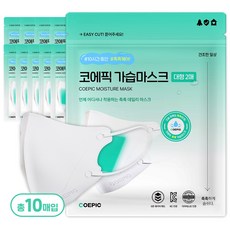 코에픽 비염 촉촉 새부리형 가습 덴탈 일회용 마스크 대형 (성인용), 화이트, 1개, 10매
