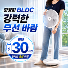 한경희 BLDC 강력 무선 선풍기 스탠드 가정용 저소음, HA-HDC531(화이트)