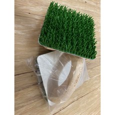 林林漆 華倫藝術塗裝工具 草皮刷 含稅, 1個