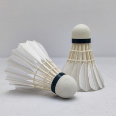 羽毛球 台灣出貨 羽毛球 比賽用球12個裝耐打性價比飛行穩定, 1個, 1筒 AS-05,75速（0速）