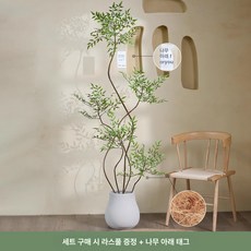 인조목 실내 조경 인테리어 가짜 감나무 카페 죽은 모형, 감성 다섯 개 머리 180cm 미포함