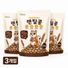 [통통잡곡] 2025년 캐나다산 브라운 렌틸콩, 3개, 1.5kg