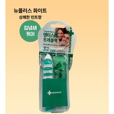덴티스테 트래블팩 (치약+접이식칫솔), 1세트, 20g