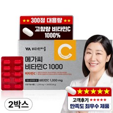 비타민마을 고함량 메가씨 비타민C 1000mg, 2박스, 300정
