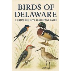 (英文圖書)Birds of Delaware: A Comprehensive Descriptive Guide 平裝版, Independently Published, 英文