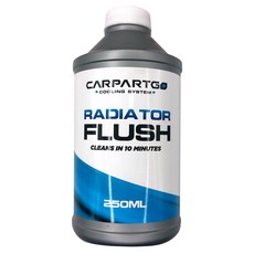 CARPARTGO 水箱清洗劑, 1個, 共用