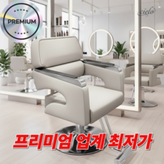 시엘로 미용실 의자 살롱 메이크업 회전 높이조절 스텐 받침대 체어, 1개, 02.오프화이트 스틸프레임