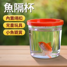 兒童生物觀察箱 透明安全材質 鬥魚杯 隔離杯 昆蟲玩具 觀賞小魚盒 烏龜盒 戶外教學好幫手, 1個