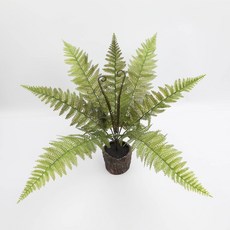 嘉義出貨 蕨類仿真波斯葉 仿真綠植波斯葉 鐵線厥植物牆配材仿真植物牆假草牆面裝飾, 15頭鱗毛蕨1支, 1個