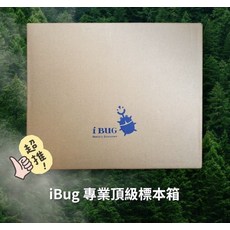 iBug 專業頂級樣本箱 手工實木烤漆 台灣製造, 1個