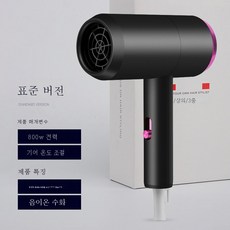 DFMEI 헤어 드라이어 음소거 헤어 케어 음이온 가정용 헤어 드라이어 저전력 500W 헤어 드라이어, 스페이스 그레이 1800W [블루라이트 헤어케어]