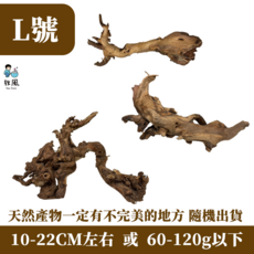 放風 天然水族箱裝飾木 獨特造型 安全無毒 營造自然水底景觀, 1個