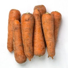싱싱한 제주 구좌 햇 흙당근 3kg 5kg 10kg, 1개, 3kg(상특과)
