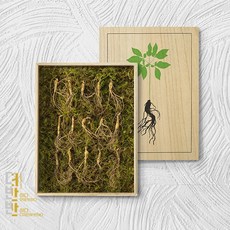 더반반 강원도 토종 산양삼 자연 산삼 진세노사이드 5-6년근 고급포장, 정품 5년-6년근 3뿌리, 1개