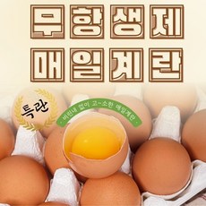 매일농장 매일계란 HACCP 친환경 무항생제 특란 계란 30구, 1개, 2kg 내외