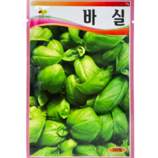 식물의집 바실 바질 허브 씨앗 씨 모종 종자 재배 키우기, 1개