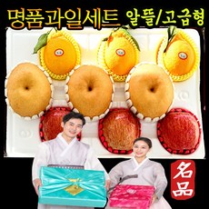 명절 추석 설날선물 고급 세트 사과+배+한라봉 혼합과일선물세트 알뜰형 고급형 제수용 나주 신고배 꿀당도 3kg 4kg 1박스 백화점 기업 회사 선물용 포장, 배사한 실속 3+3+3과 3kg, 1세트