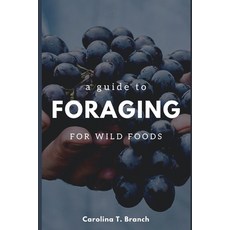 (영문도서) A Guide to Foraging for Wild Foods Paperback, Independently Published, English, 9798329172584