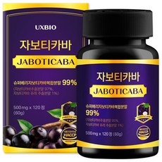 [정품] 자보티카바 Jaboticaba 정, 1개, 120정