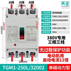 Tianzheng TGM1 250L/3300 성형 케이스 회로 차단기 3P4P 공기 스위치 380V 3상 160A225A200A, 03 250A, 01 5