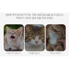 반려동물용품 반려동물약먹이기 강아지 고양이 약먹이기 알약 물약 키트 RD-12274, 반려동물용품 반려동물약먹이기 강아지 고양이 약먹이기 알, 1