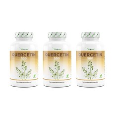 비트포에버 vit4ever quercetin 퀘르세틴 500 120캡슐 3개, 120정