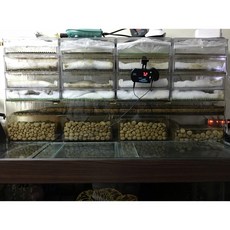 乾濕分離仿底濾盒 (不含濾材), 1個, 2呎邊條版