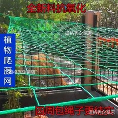 臺灣熱賣 桃園出貨 植物爬藤網百香果種植網絲瓜吊瓜葡萄爬藤網黃瓜月季花爬藤搭架網, 1個, 加粗90股長度包邊（網孔20厘米）,1米寬3米長【送扎帶】