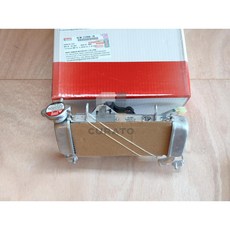 Yamaha 山葉 R15 V4 MT15V2 水箱總成 BCW-E2460-10 水箱 水冷排, 1個